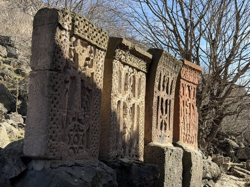 ԴՍԵՂ․ ԱՇՆԱՆԱՅԻՆ ԼՈՌԻ (ՔԱՅԼԱՐՇԱՎ)