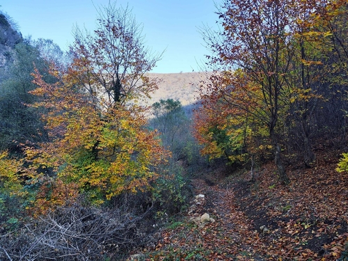 ՄԹՆԱՁՈՐ (ՔԱՅԼԱՐՇԱՎ)