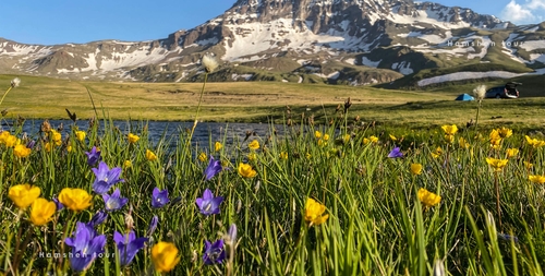 ՌԱՊԻ ԼԻՃ ԵՎ ԱՍՏՂԿԱՆ ԼԻՃ (ԲԵՌՆԱՏԱՐ + ՔԱՅԼԱՐՇԱՎ)