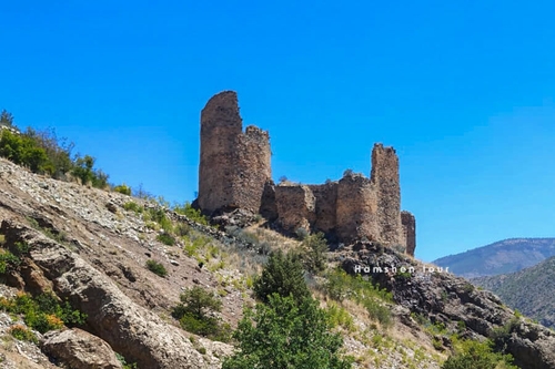 ՏԱՅՔ 4 ՕՐ
